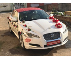 Decorated Audi Jaguar Doli Car book online Haryana Ambala