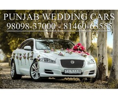 Wedding cars in Punjab Shahkot Jaguar on best price