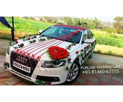 Wedding Car AUDDI A4 for rent in Bathinda