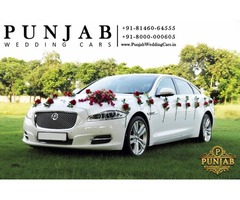 Wedding cars in Punjab Shahkot Jaguar on best price