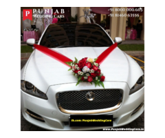 luxury wedding cars for hire in punjab chandigarh India