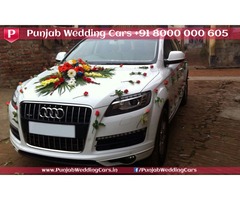 Luxury Cars in India Punjab